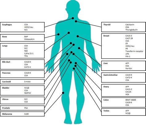 tumor marker results explained